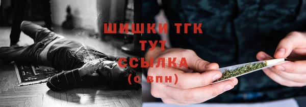 шишки Волосово