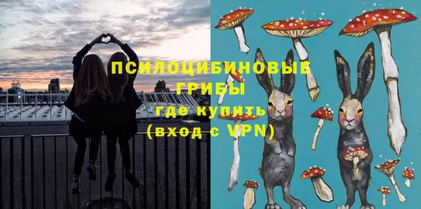 шишки Волосово