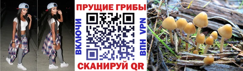 Псилоцибиновые грибы MAGIC MUSHROOMS  Орехово-Зуево 